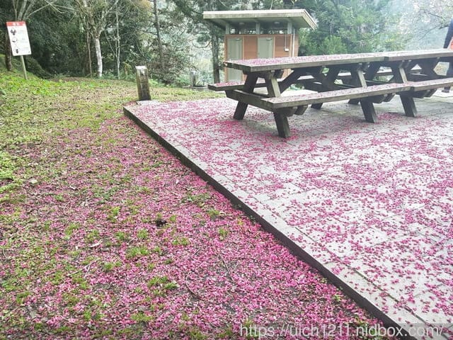 瓦拉米步道 - 第47張圖 瓦拉米步道