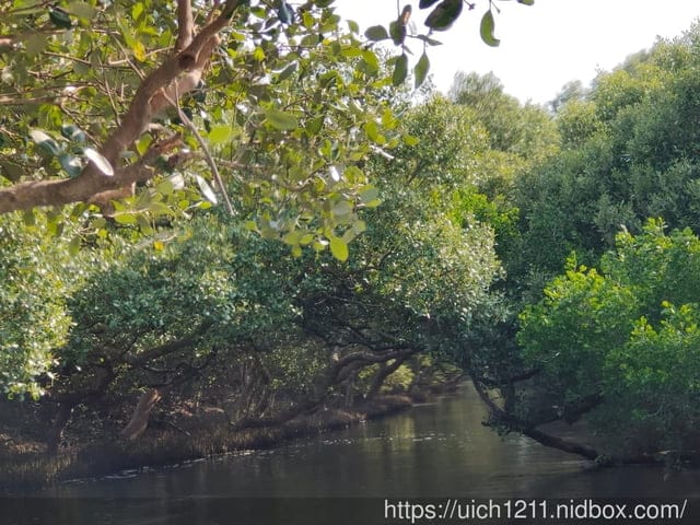 台南四草遊 - 第16張圖 台南四草遊
