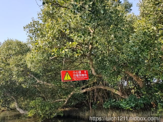 台南四草遊 - 第19張圖 台南四草遊