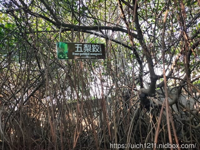 台南四草遊 - 第26張圖 台南四草遊