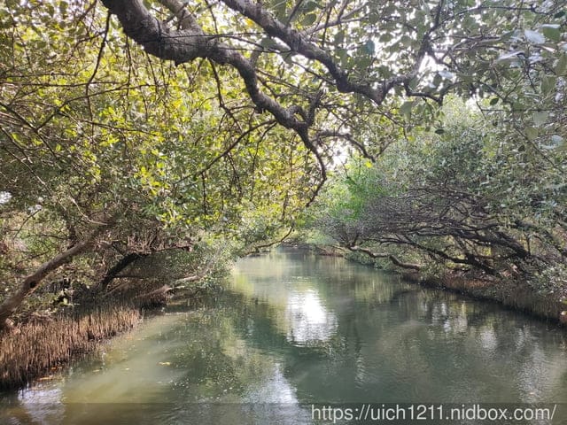 台南四草遊 - 第13張圖 台南四草遊
