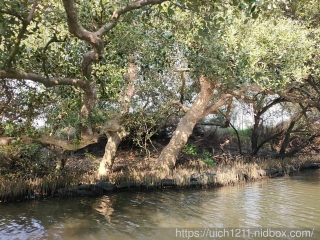 台南四草遊 - 第23張圖 台南四草遊