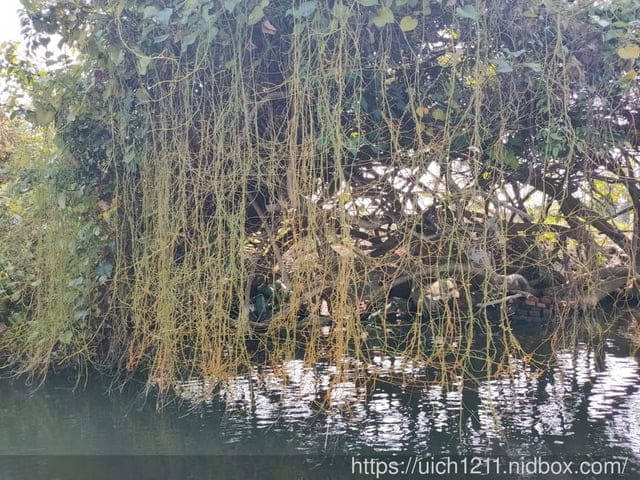 台南四草遊 - 第8張圖 台南四草遊