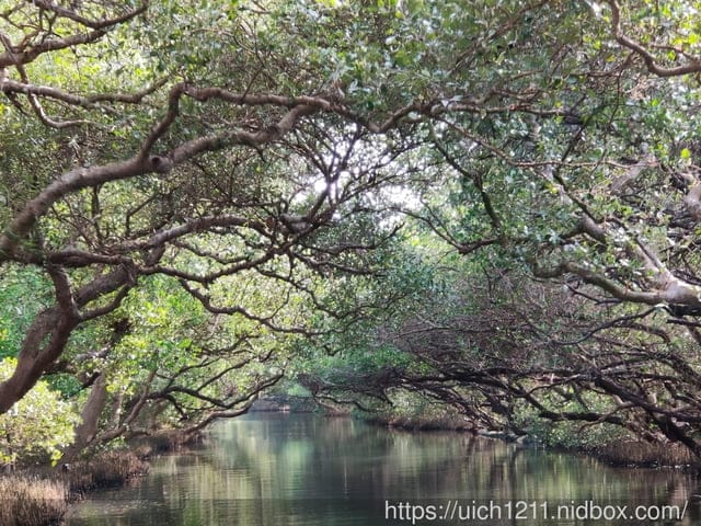 台南四草遊 - 第17張圖 台南四草遊