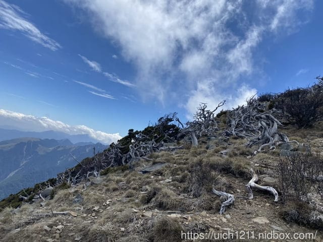 雪山西陵