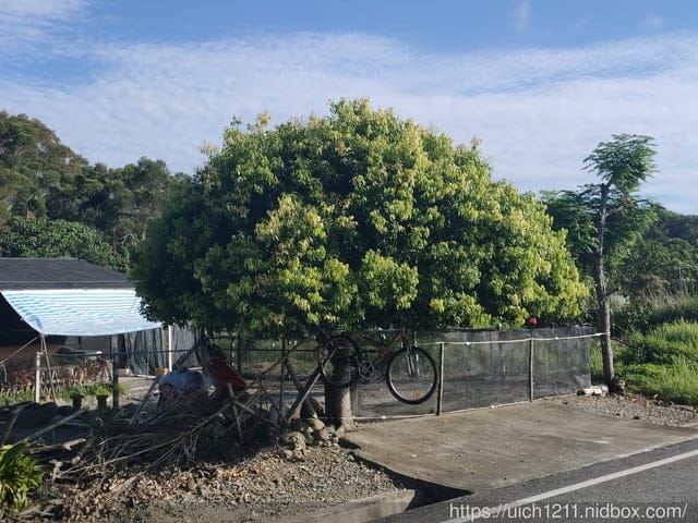 石門班哨角休憩區麻糬洞 - 第4張圖 石門班哨角休憩區麻糬洞