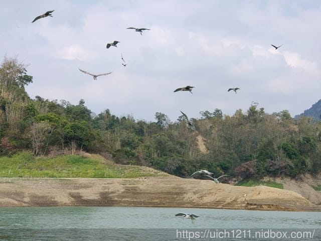 曾文水庫之旅 - 第30張圖 曾文水庫之旅