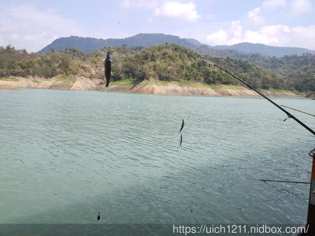 曾文水庫之旅 - 第25張圖 曾文水庫之旅