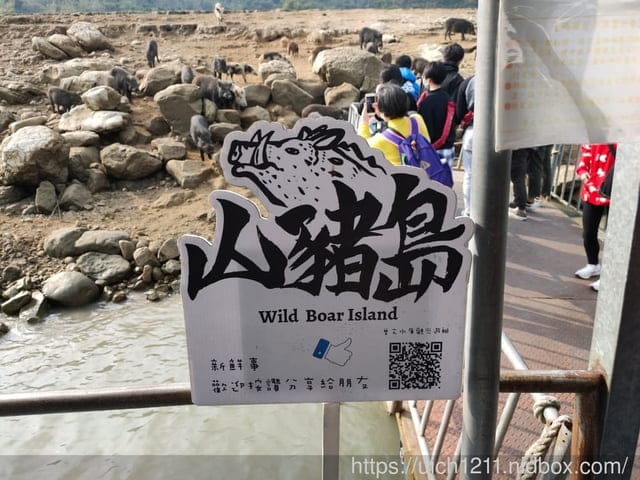曾文水庫之旅 - 第34張圖 曾文水庫之旅