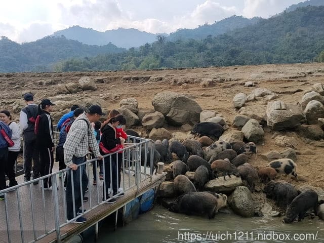 曾文水庫之旅 - 第38張圖 曾文水庫之旅