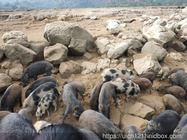 曾文水庫之旅 - 第36張圖 曾文水庫之旅