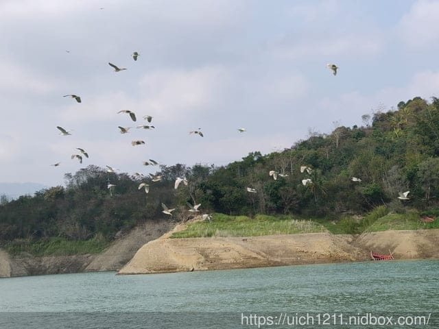 曾文水庫之旅 - 第26張圖 曾文水庫之旅