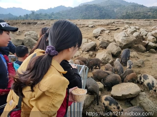 曾文水庫之旅 - 第37張圖 曾文水庫之旅