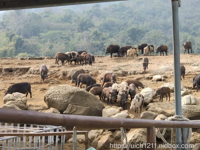 曾文水庫之旅 - 第35張圖 曾文水庫之旅