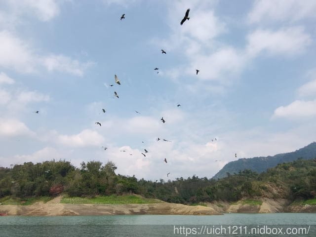 曾文水庫之旅 - 第27張圖 曾文水庫之旅