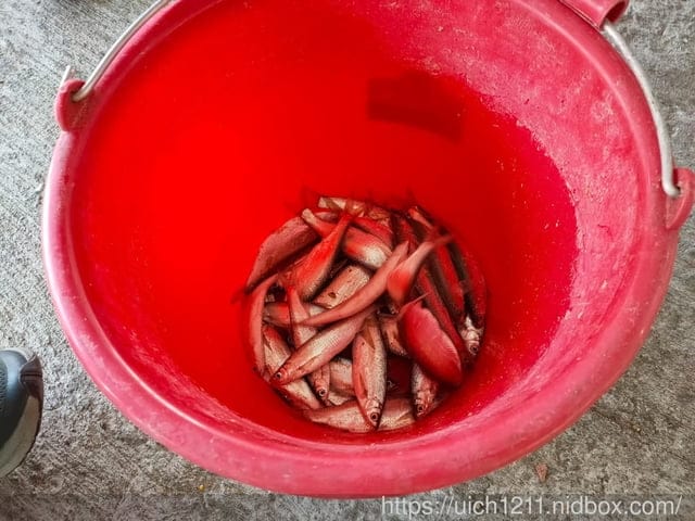 曾文水庫之旅 - 第22張圖 曾文水庫之旅