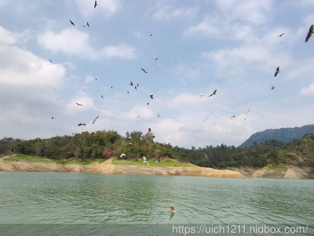 曾文水庫之旅 - 第28張圖 曾文水庫之旅