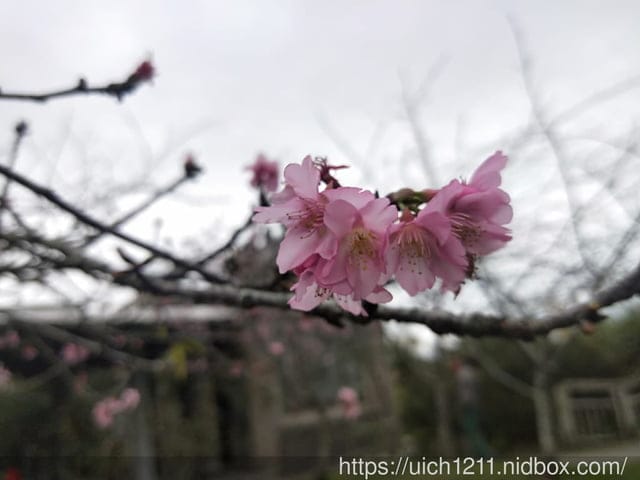 二延平山步道