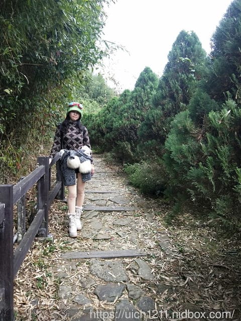 二延平山步道