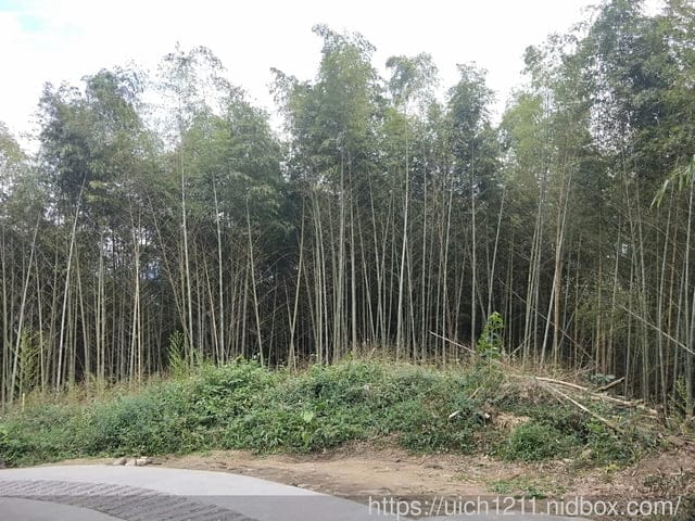 二延平山步道