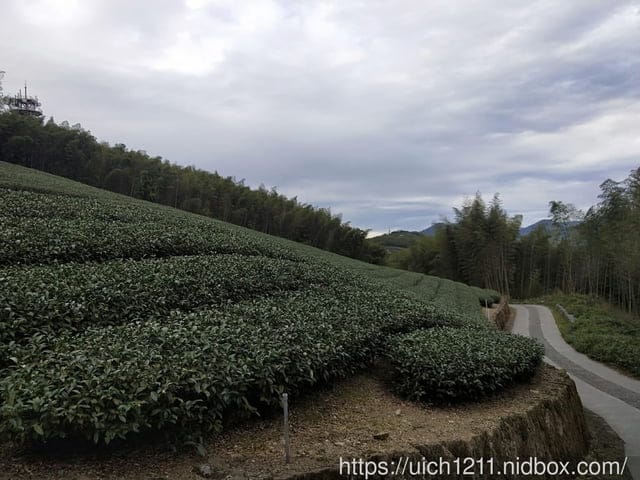 二延平山步道