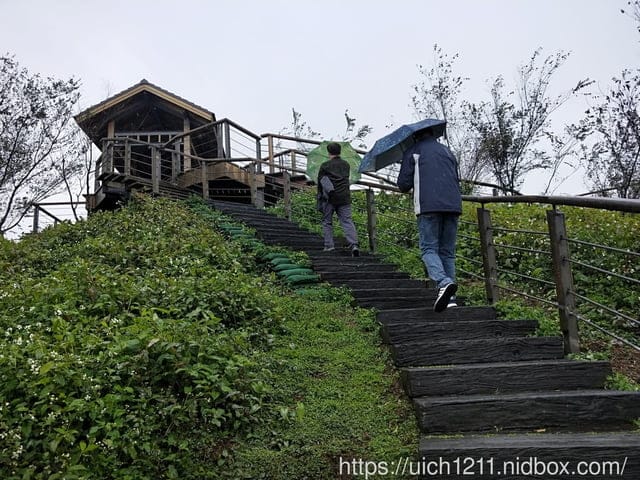 太平雲梯與空氣圖書館 - 第8張圖 太平雲梯與空氣圖書館