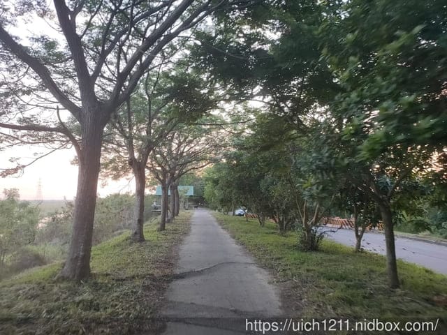 曾文溪步道與佳里糖廠 - 第20張圖 曾文溪步道與佳里糖廠