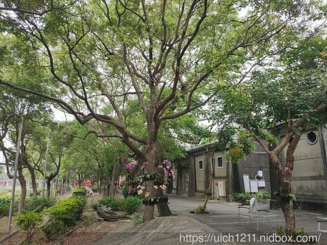 曾文溪步道與佳里糖廠 - 第22張圖 曾文溪步道與佳里糖廠