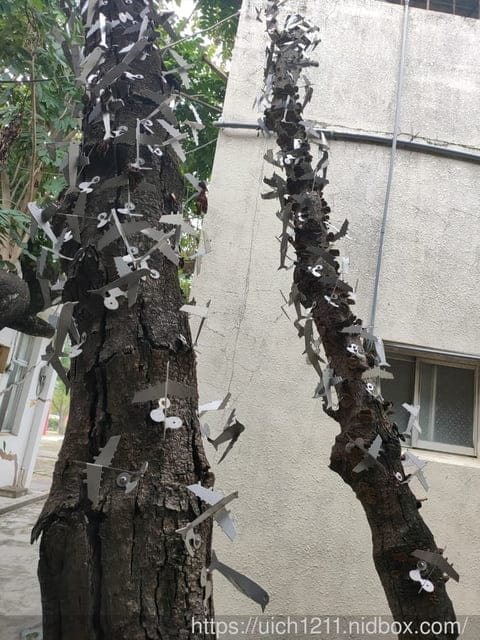 曾文溪步道與佳里糖廠 - 第28張圖 曾文溪步道與佳里糖廠