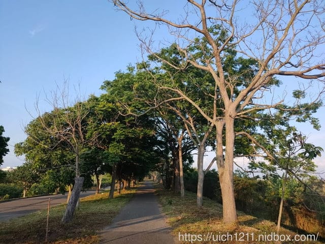 曾文溪步道與佳里糖廠 - 第6張圖 曾文溪步道與佳里糖廠
