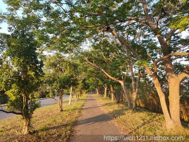 曾文溪步道與佳里糖廠 - 第8張圖 曾文溪步道與佳里糖廠