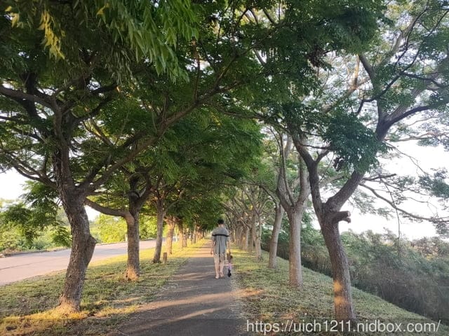 曾文溪步道與佳里糖廠 - 第5張圖 曾文溪步道與佳里糖廠