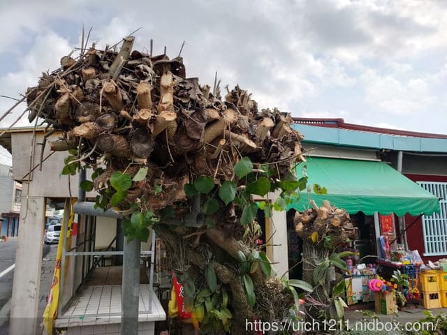 用九柑仔店