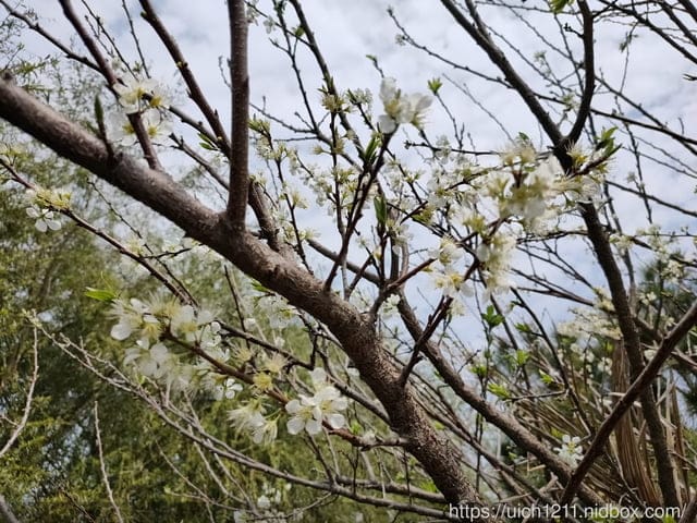 那一間咖啡 - 第27張圖 那一間咖啡