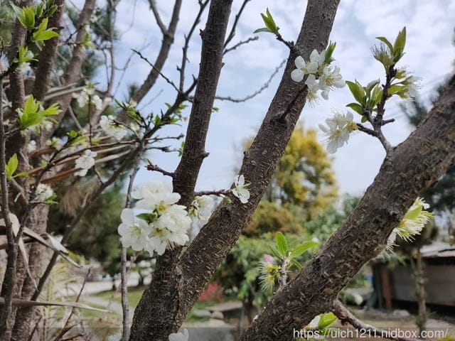 那一間咖啡 - 第28張圖 那一間咖啡