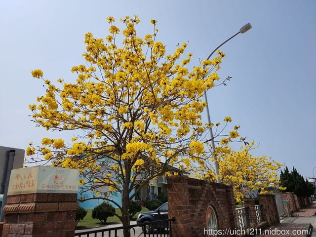 山腳國小與圳磚橋 - 第3張圖 山腳國小與圳磚橋