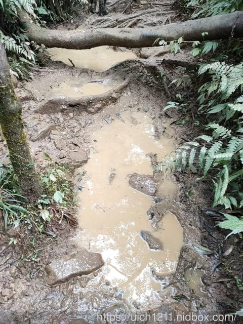 松羅湖 - 第7張圖 松羅湖