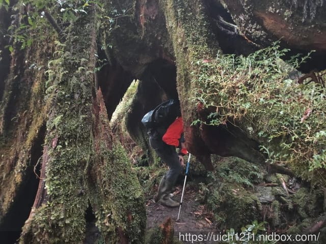 松羅湖 - 第15張圖 松羅湖