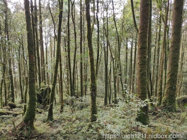 松羅湖 - 第38張圖 松羅湖