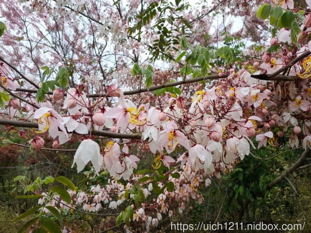 小風車發電區與雲霄岩公園