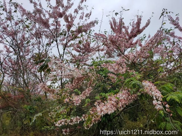 小風車發電區與雲霄岩公園