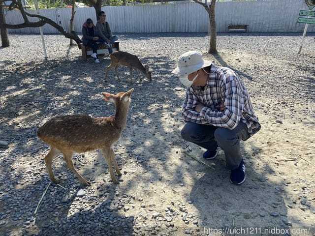 鹿境梅花鹿生態園區 - 第13張圖 鹿境梅花鹿生態園區