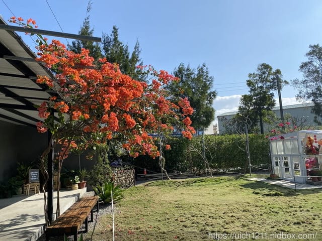 鹿境梅花鹿生態園區 - 第22張圖 鹿境梅花鹿生態園區