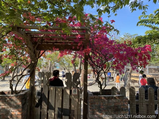 鹿境梅花鹿生態園區 - 第12張圖 鹿境梅花鹿生態園區