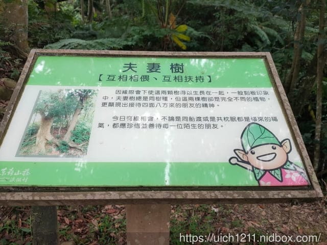 東森山林渡假酒店