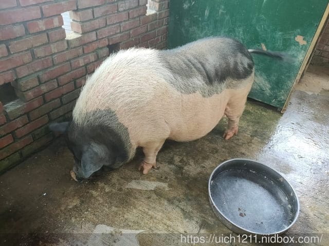 東森山林渡假酒店