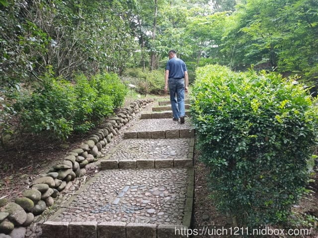 東森山林渡假酒店
