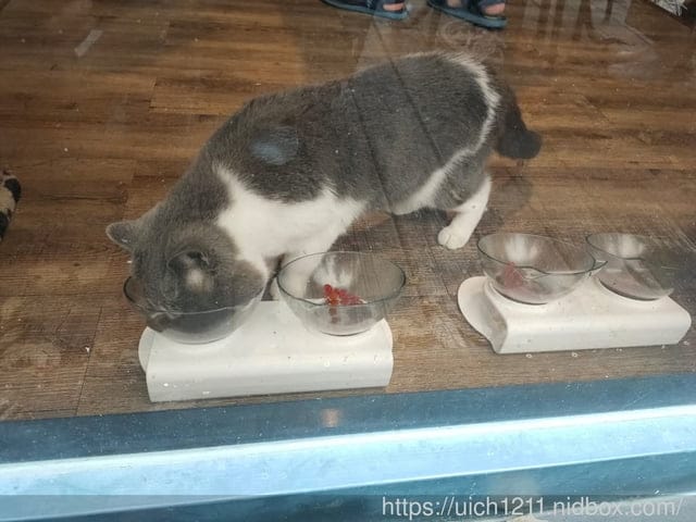 東森山林渡假酒店