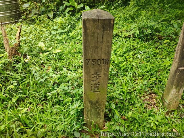 東森山林渡假酒店