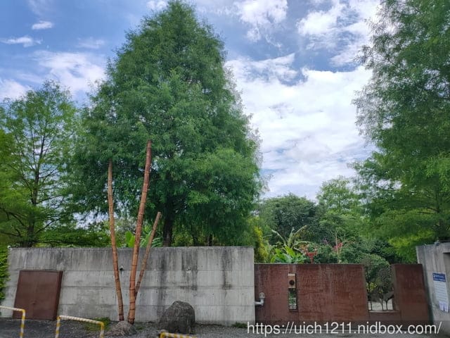 鷺鷥咖啡